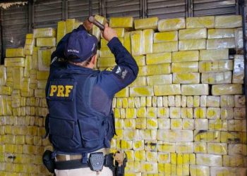 PRF apreende 906 kg de maconha em Planaltina (DF)